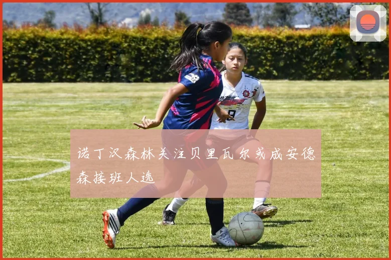 诺丁汉森林关注贝里瓦尔或成安德森接班人选